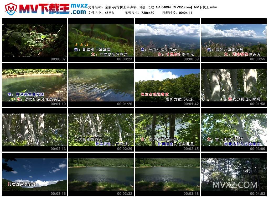 童丽-黄莺树上声声唱_国语_民歌_NAI04894